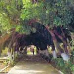 Access to the Inner Area of the Colony Antônio Diogo