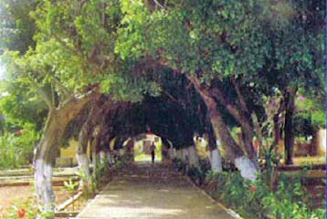 Access to the inner area of the Colony Antônio Diogo