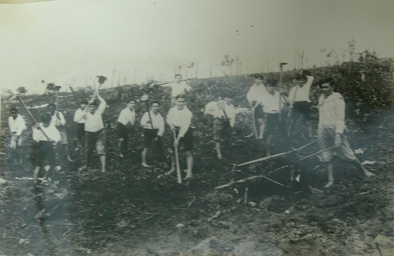 Boys working in the fields at Santa Terezinha