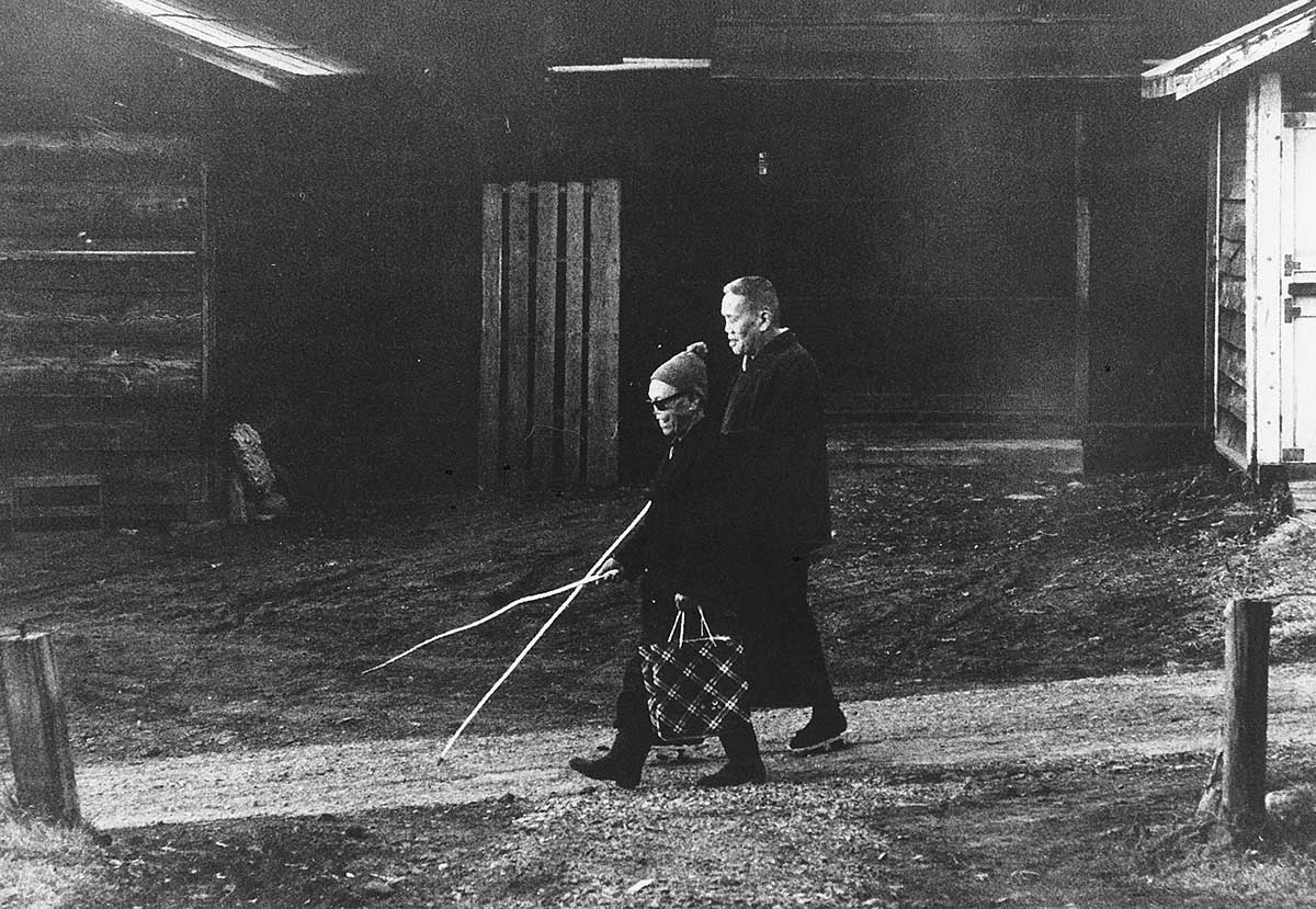 Taking a walk together