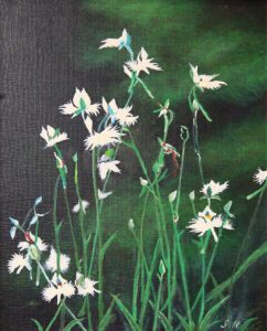 Sagiso (Fringed orchid)