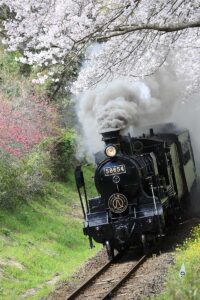 Hitoyoshi Line in Spring