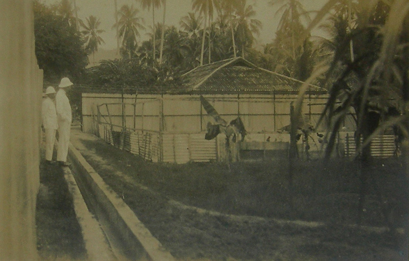 Pulau Jerejak, women’s camp, 1931.