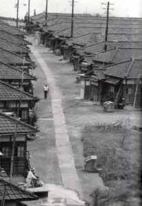 Inside the sanatorium: central road in the section of houses for married couples with mild symptoms