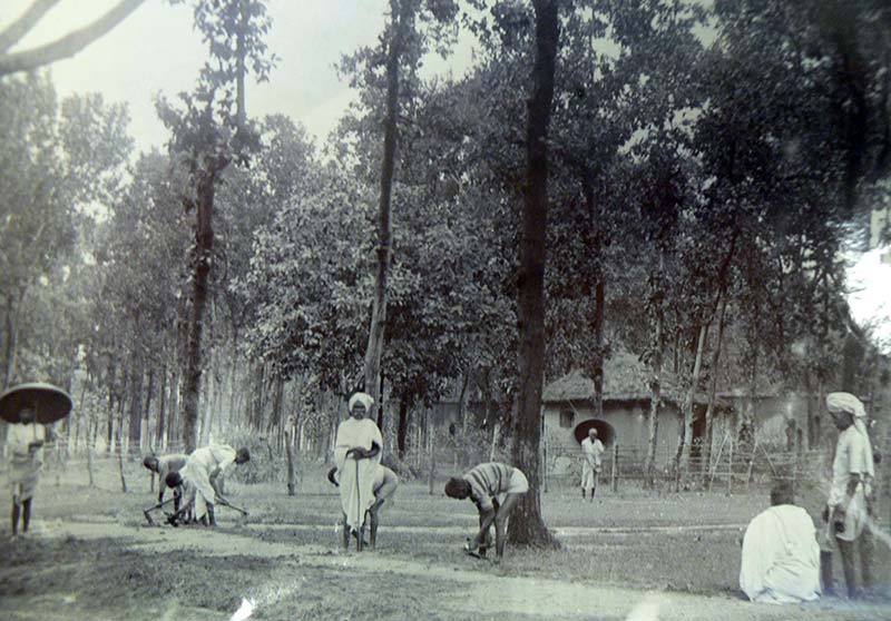 Leprosy-Affected People Repairing Roads (1920s)