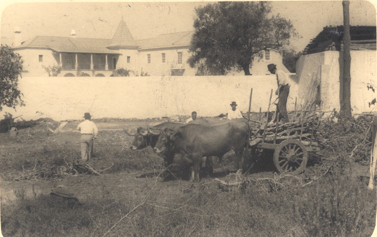 Men working in the fields, close to the administration building, which can be seen behind the wall. The sisters also lived here, on the top floor; their living space was called the ‘little convent’.