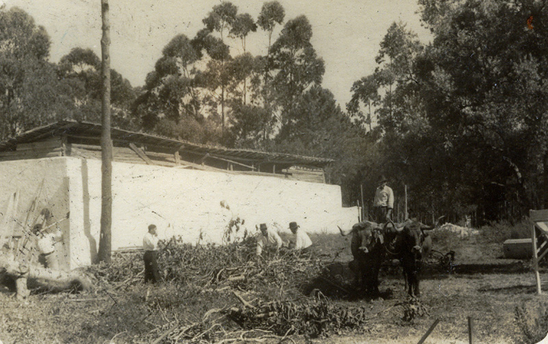 Working in the fields near the administration building
