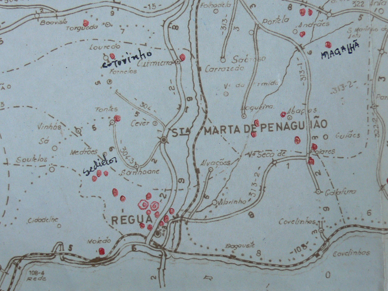 Detail of the Mobile Patrol Map showing the location of cases