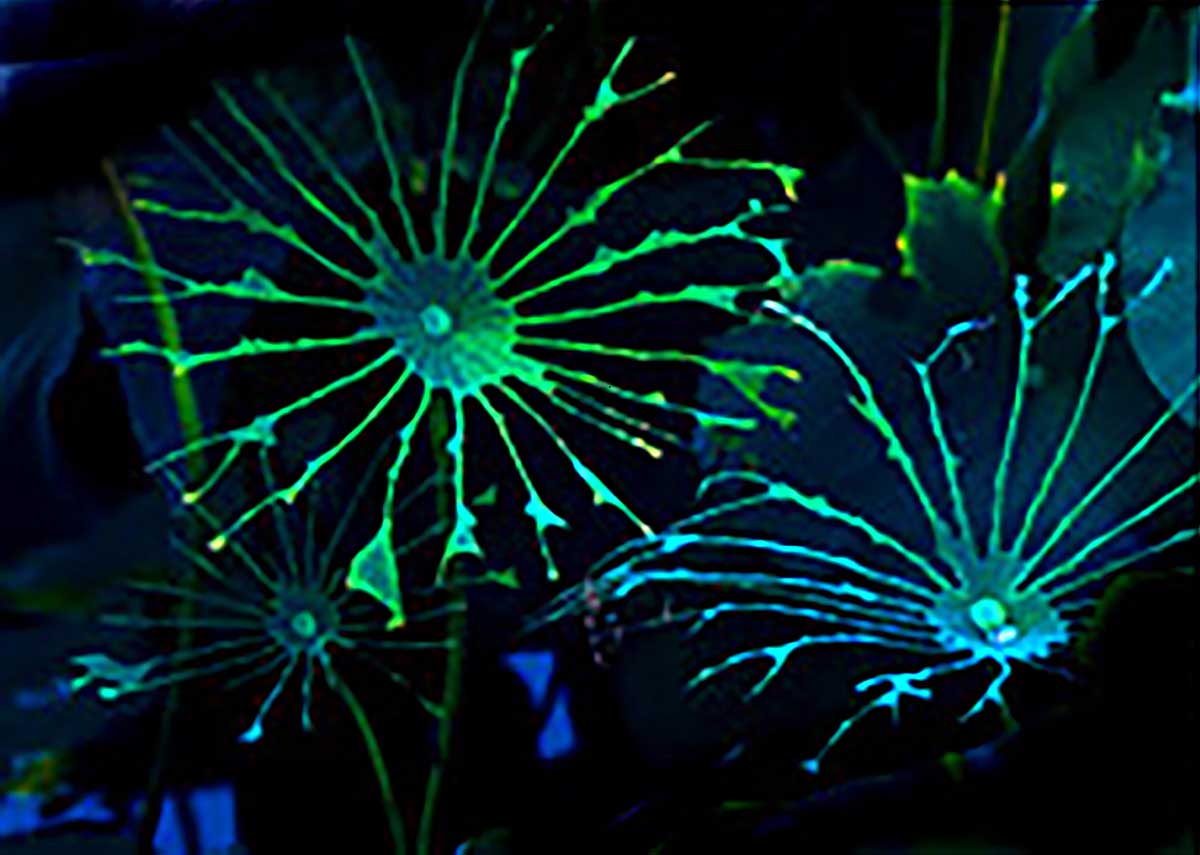 The Story of Worm holes