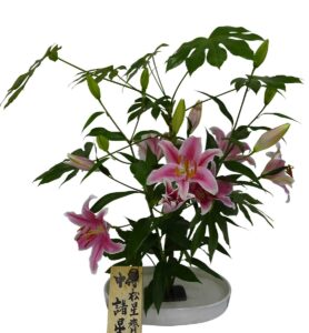 Ikebana flower arrangement – Lilies