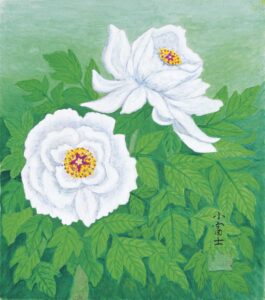 White Camellia